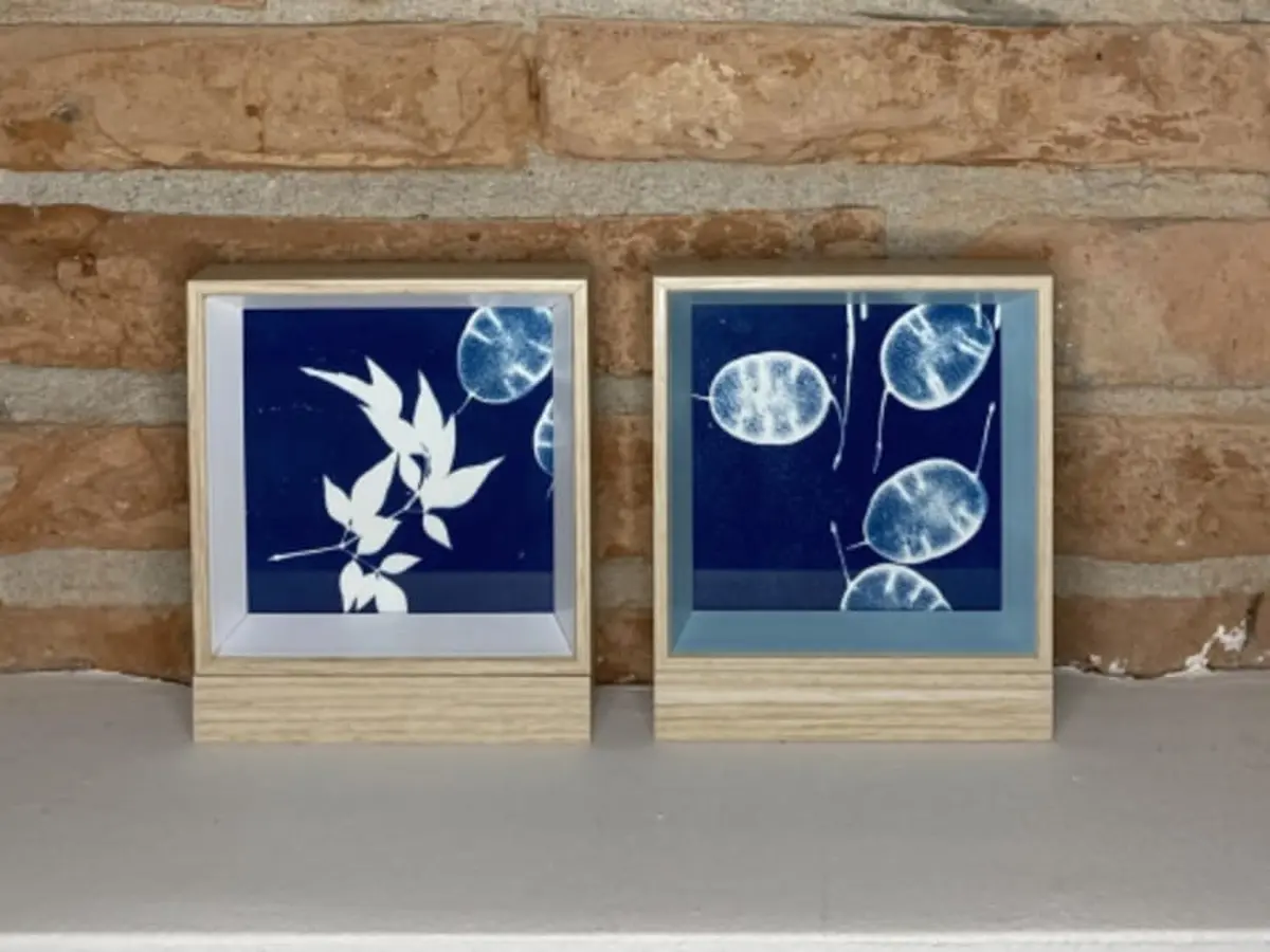 Atelier cyanotype à Grisolles (82)