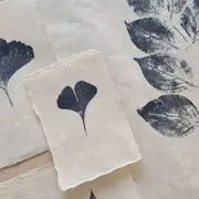 Atelier cyanotype à Nantes (44)