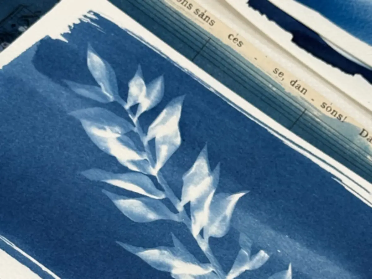 Atelier Cyanotype  à Narbonne (11)
