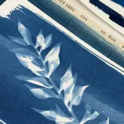 Atelier Cyanotype  à Narbonne (11)
