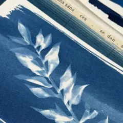 Atelier Cyanotype  à Narbonne (11)