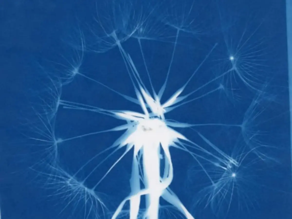 Atelier Cyanotype à Paris 17ème