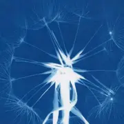 Atelier Cyanotype à Paris 17ème