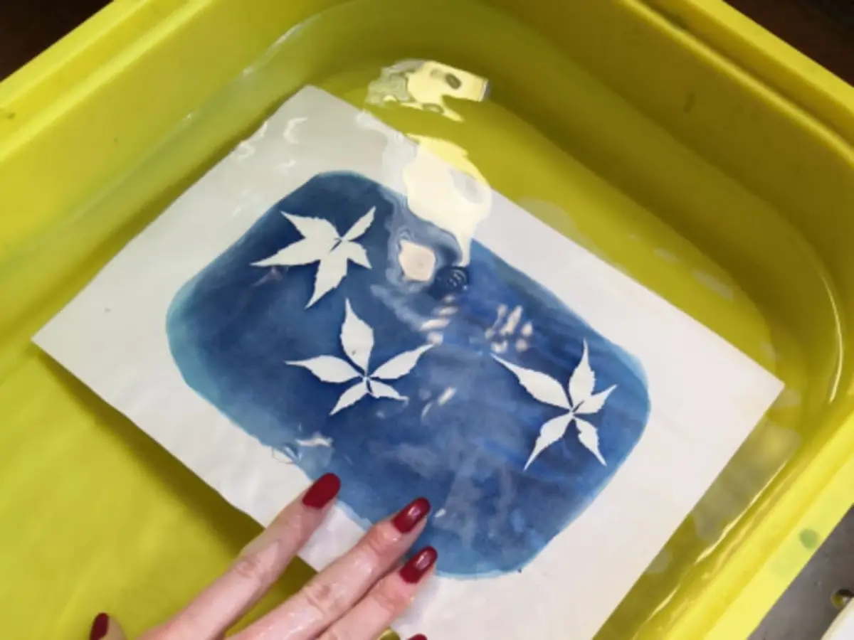 Atelier cyanotype à Paris 19ème