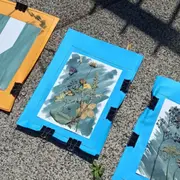 Atelier cyanotype à Strasbourg (67)