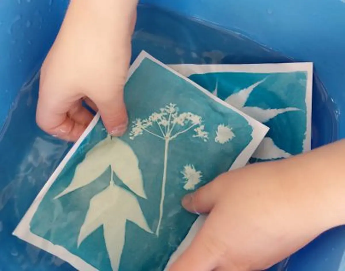 Atelier Cyanotype du Printemps