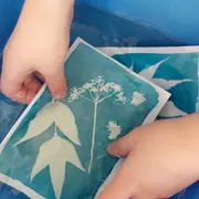 Atelier Cyanotype du Printemps