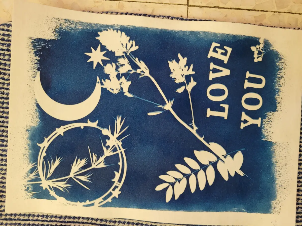 Atelier Cyanotype : L’art Du Bleu Solaire