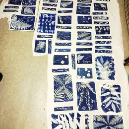 Atelier cyanotype sur papier