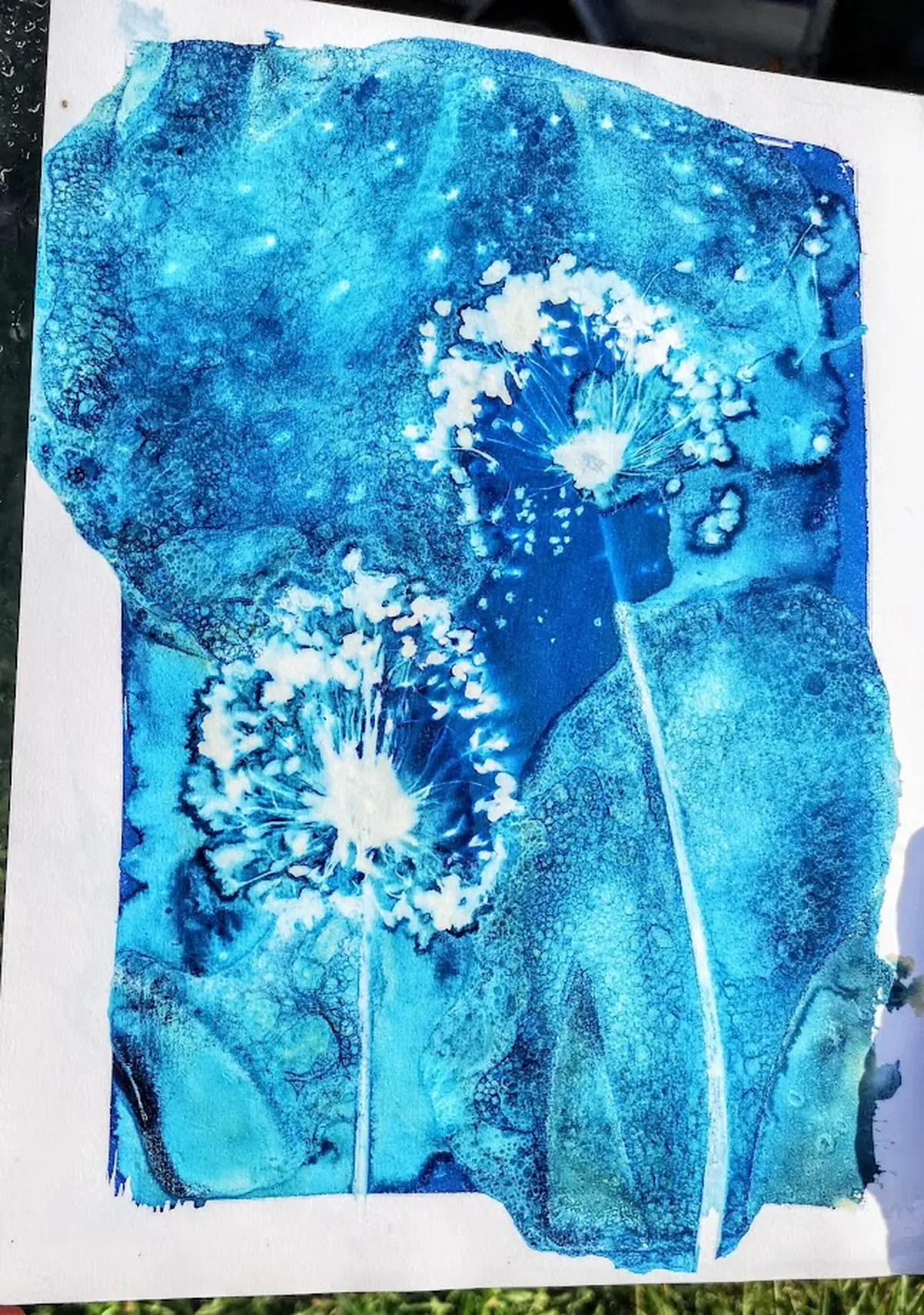 Atelier Cyanotype : Voyage photographique