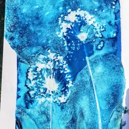 Atelier Cyanotype : Voyage photographique