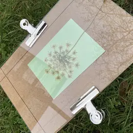 Atelier cyanotypes