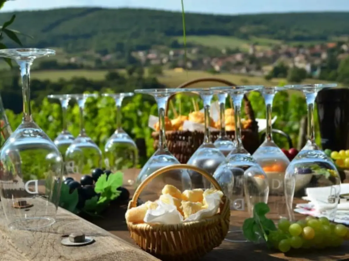 Atelier d’assemblage des vins au Domaine Debreuille ( 71)