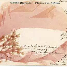 Atelier d'écriture autour de l'alguier de la naturaliste Maria Doublet avec Adeline Miermont Giustinati -Ile Tatihou