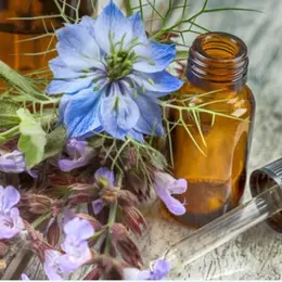 Atelier d'herboristerie : les plantes au féminin