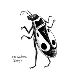 Atelier d'illustration avec Kei