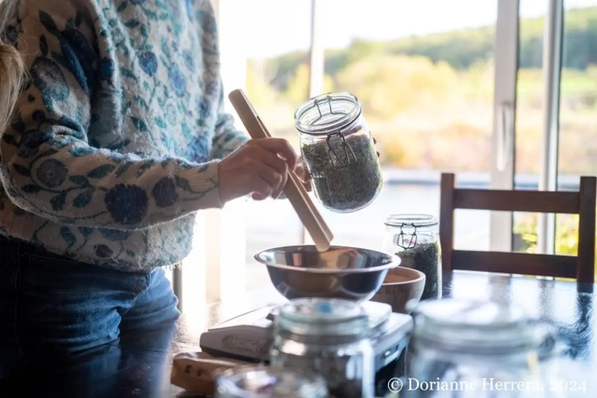 Atelier D'Initiation à L'Herboristerie Et à La Cuisine Sauvage 