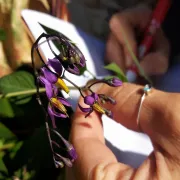 Atelier d'initiation à l'utilisation d'une flore