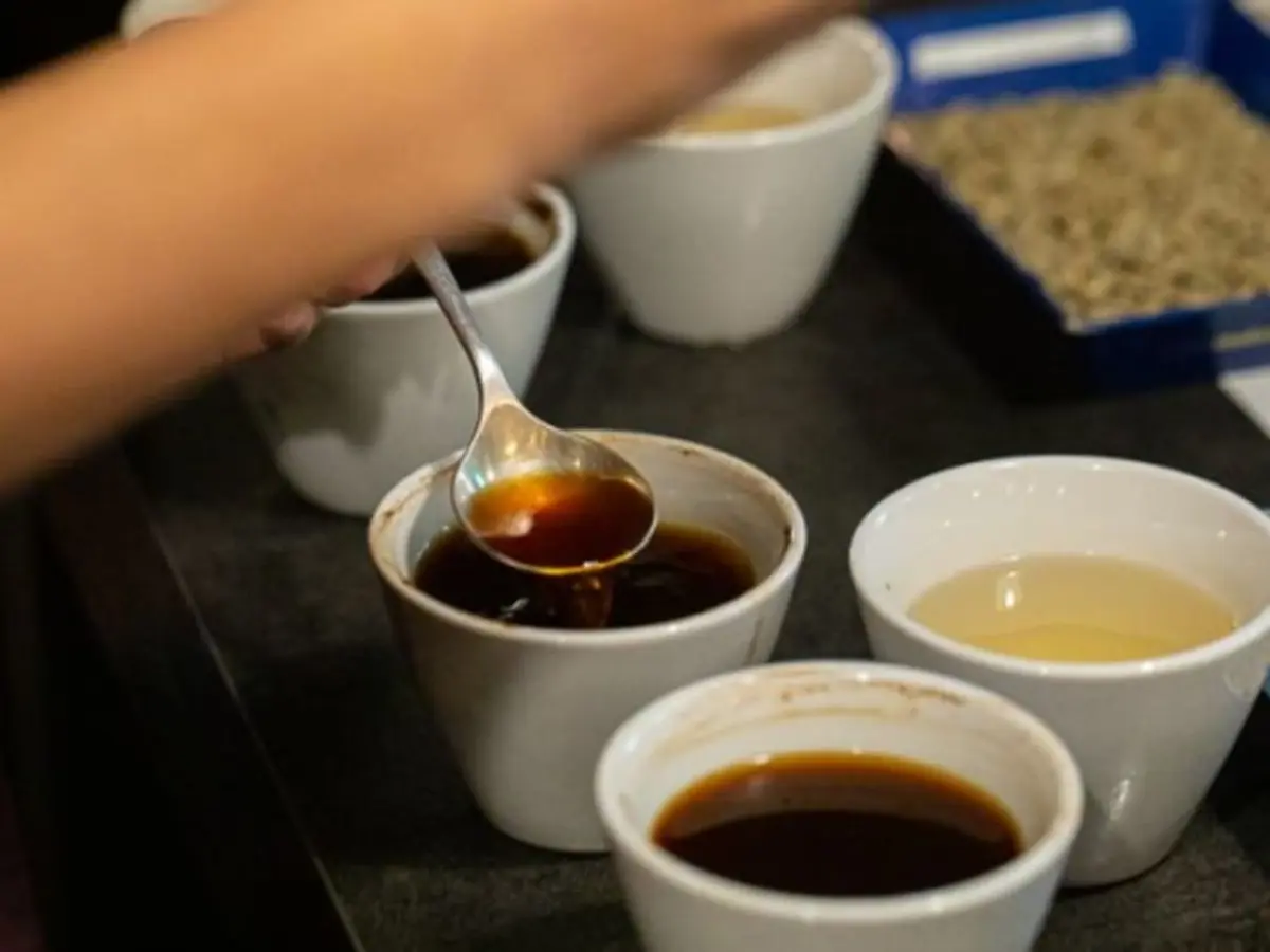 Atelier d'initiation à la caféologie & dégustation à Paris 4ème