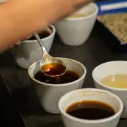 Atelier d'initiation à la caféologie & dégustation à Paris 4ème