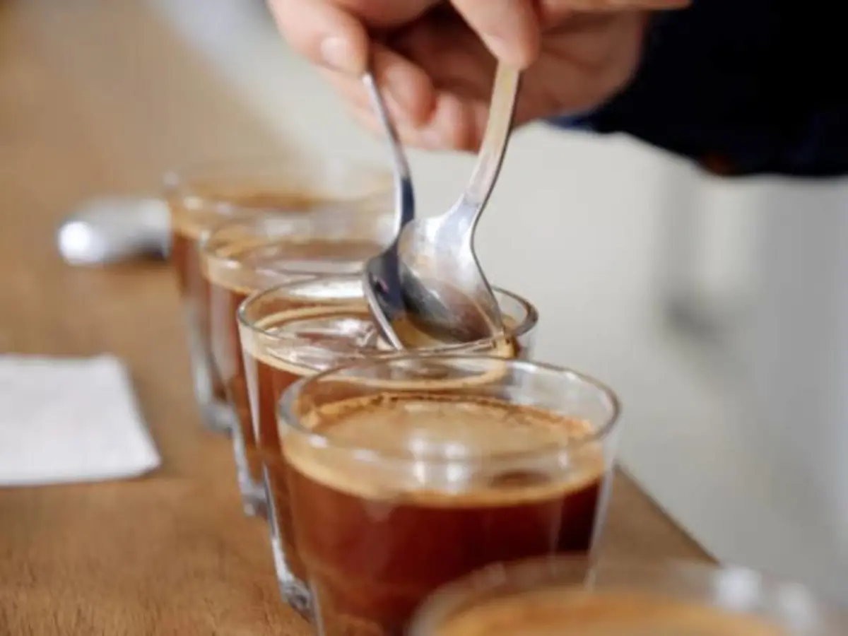Atelier d'initiation à la caféologie & espressologie à Paris