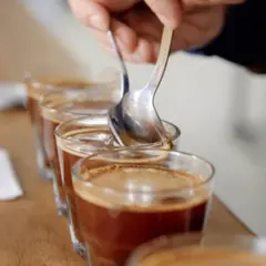 Atelier d'initiation à la caféologie & espressologie à Paris