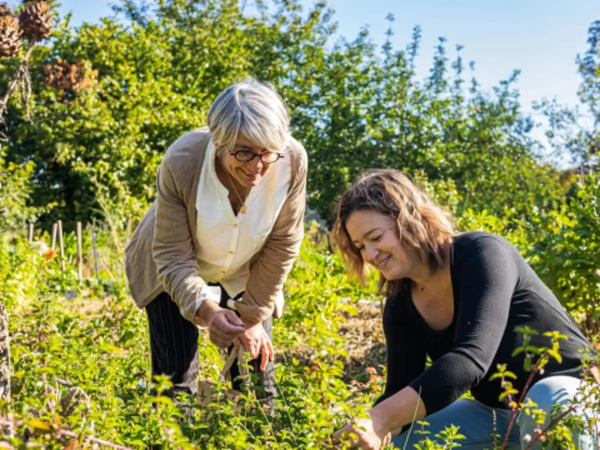 Atelier d'initiation à la permaculture à Jarnac (16)