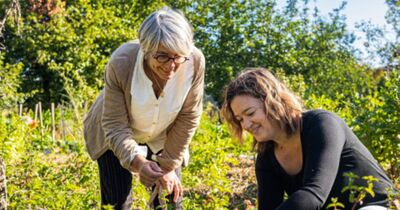 Atelier d'initiation &agrave; la permaculture &agrave; Jarnac (16)