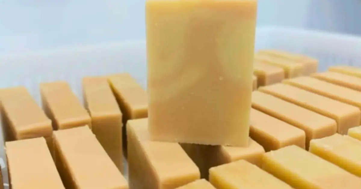 Atelier d'initiation à la saponification à froid à Tours (37)