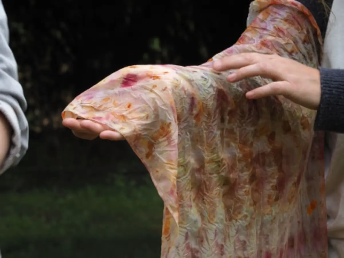 Atelier d'initiation à la teinture végétale à Montauban (82)