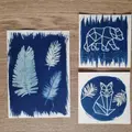 Atelier d'initiation au cyanotype à Saint-Avertin (37)