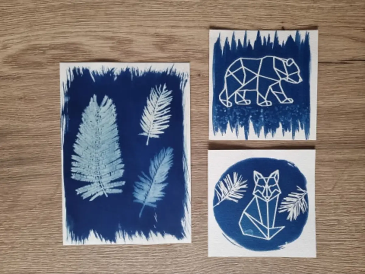 Atelier d'initiation au cyanotype à Saint-Avertin (37)
