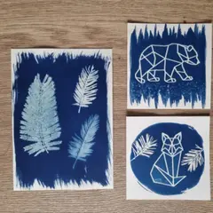 Atelier d'initiation au cyanotype à Saint-Avertin (37)