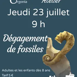 Atelier d'initiation au dégagement de fossiles
