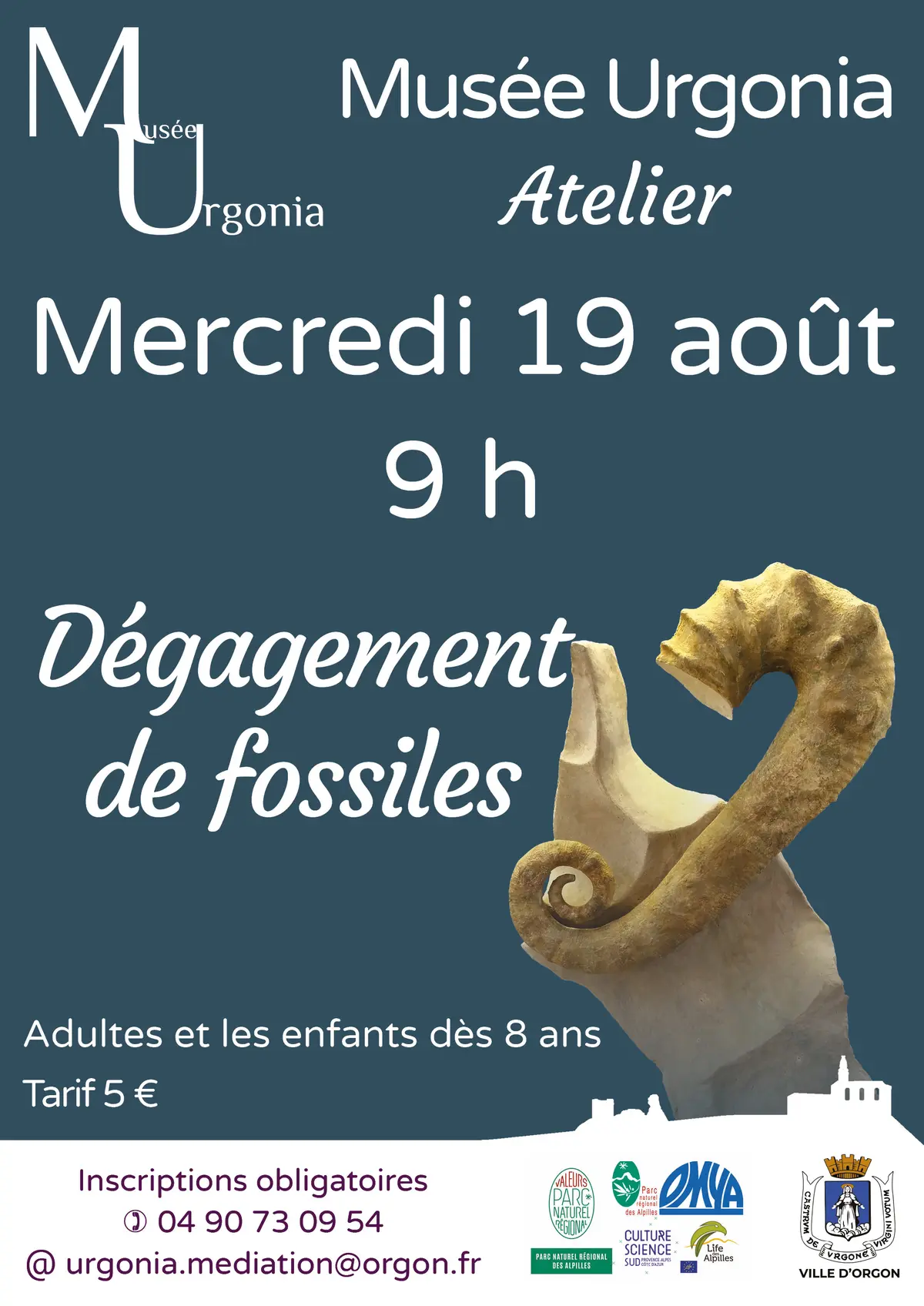 Atelier d'initiation au dégagement de fossiles