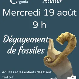 Atelier d'initiation au dégagement de fossiles