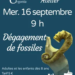 Atelier d'initiation au dégagement de fossiles