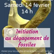 Atelier d'initiation au dégagement de fossiles