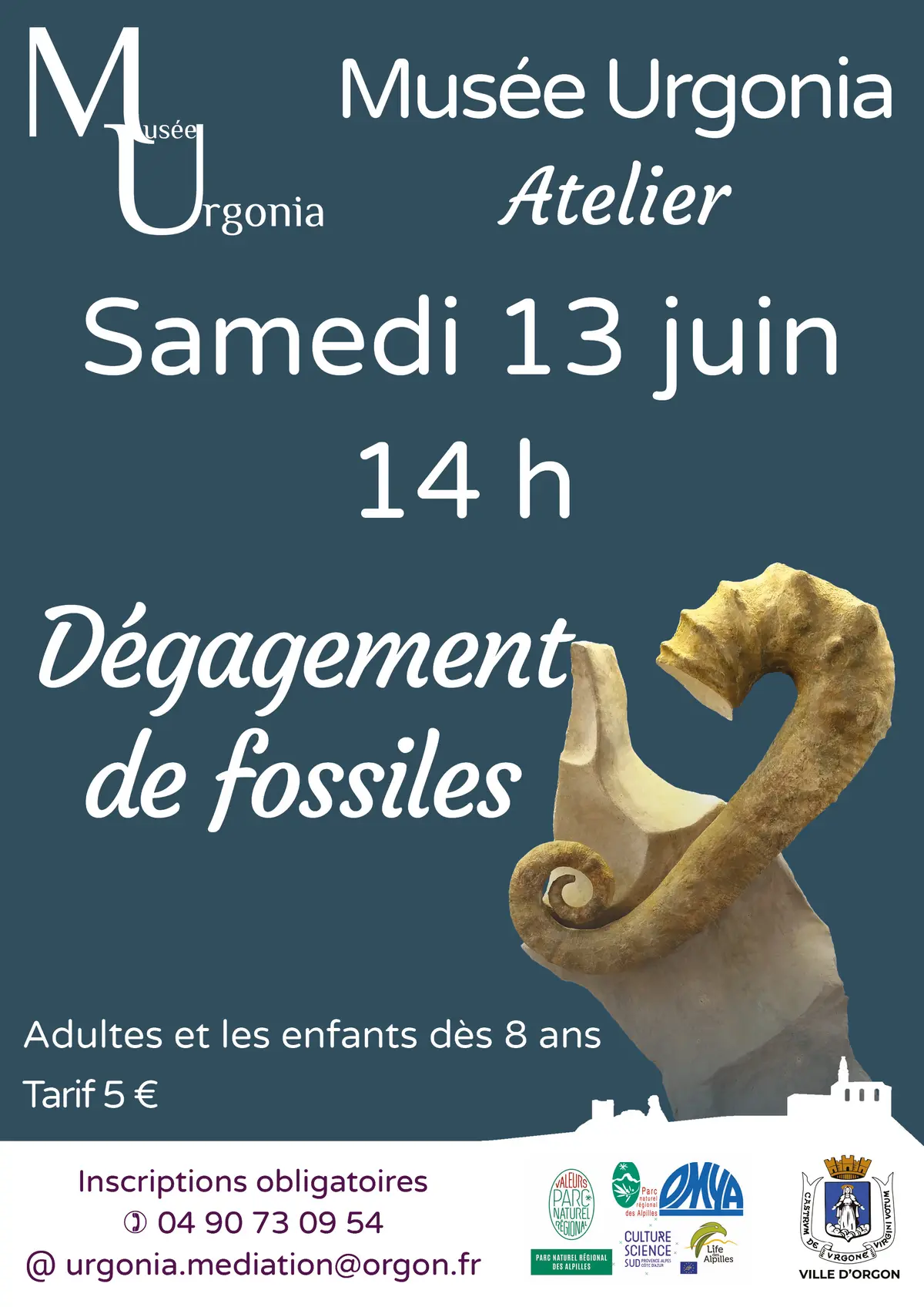 Atelier d'initiation au dégagement de fossiles