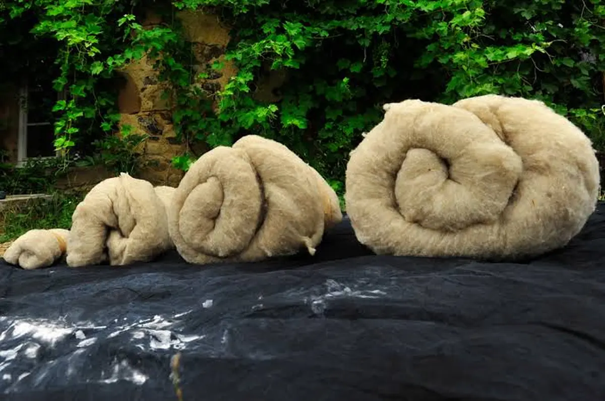 Atelier d'initiation au feutrage de la laine en famille