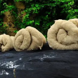 Atelier d'initiation au feutrage de la laine en famille