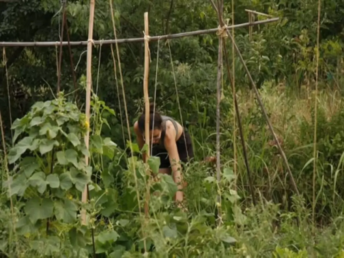 Atelier d'initiation au potager à Montpellier (34)