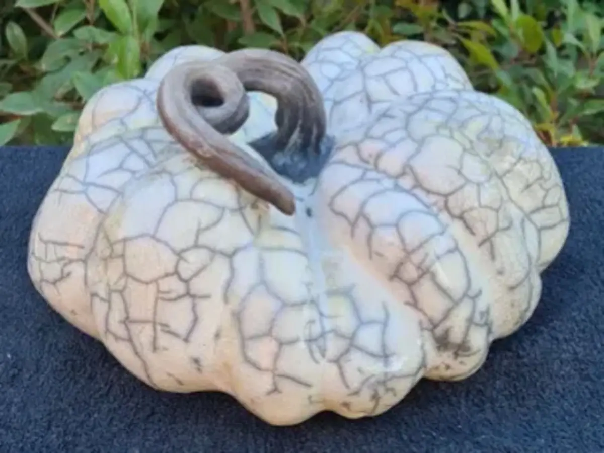 Atelier d'initiation au Raku à Avignon (84)