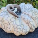 Atelier d'initiation au Raku &agrave; Avignon (84)