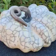 Atelier d'initiation au Raku à Avignon (84)