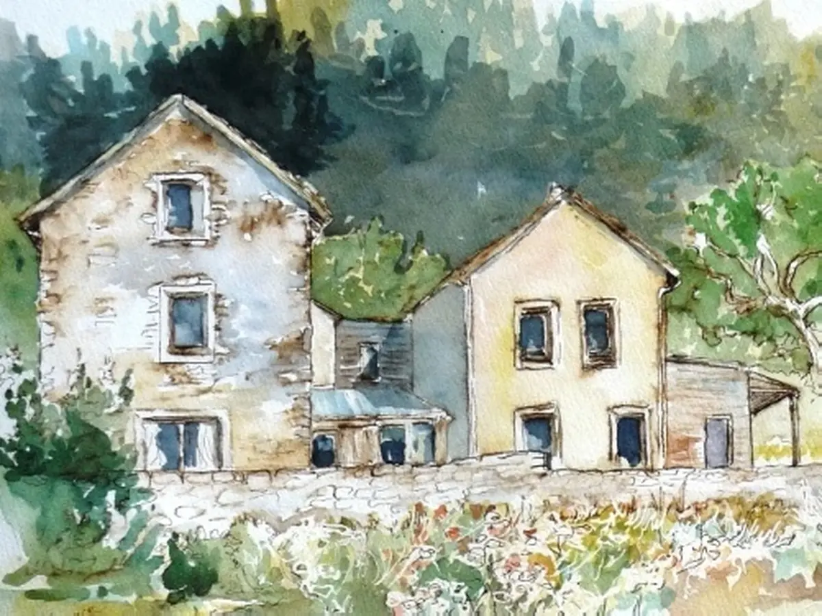 Atelier D'Initiation Dessin Naturaliste Et Aquarelle