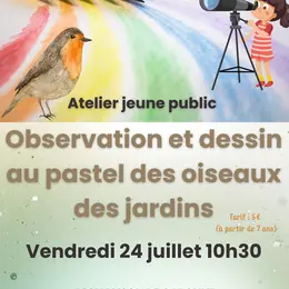 Atelier d'observation des oiseaux et de dessin crayons pastel