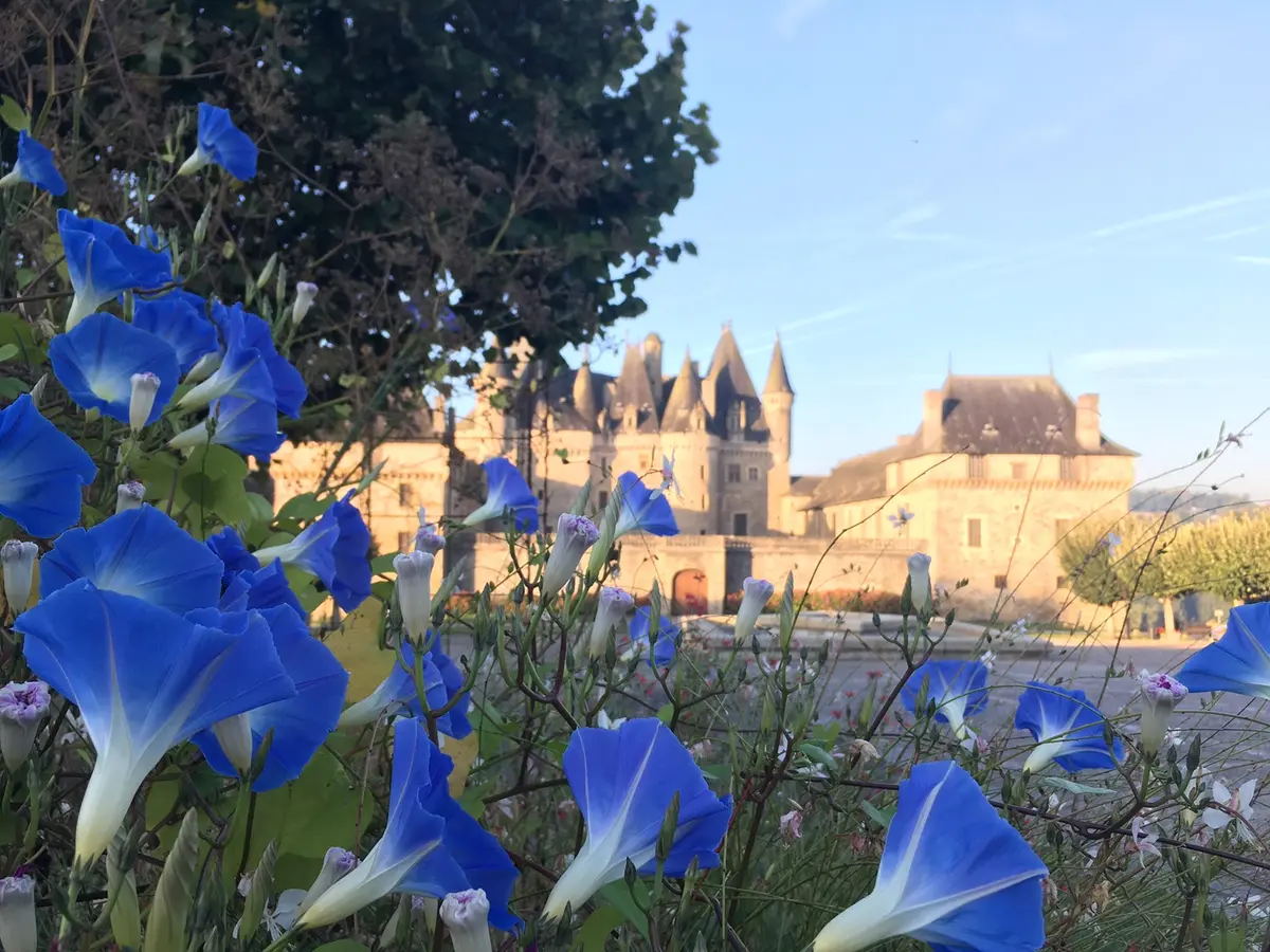 Atelier d'oenologie et dégustation de vins