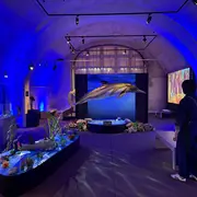 Atelier Dans la peau d'un paléontologue