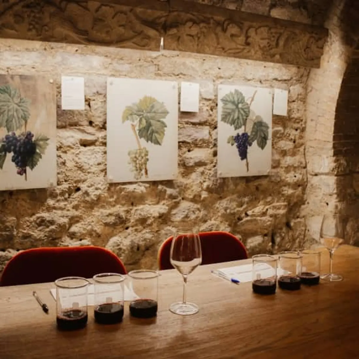 Atelier de création de vin